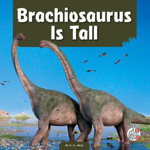 Brachiosaurus Is Tall