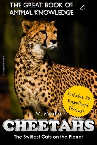 Cheetahs