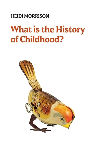 What is the History of Childhood?