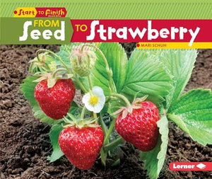 From Seed to Strawberry 
