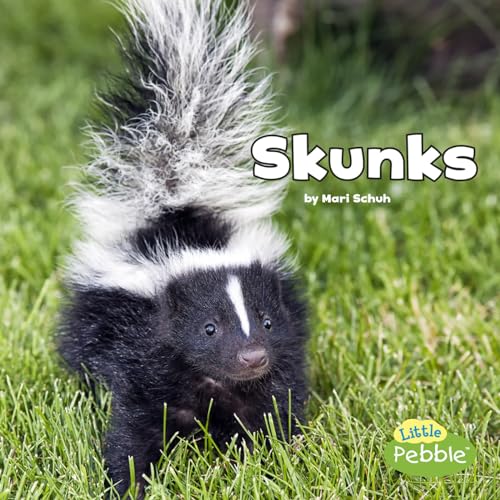 Black and White Animals Skunks