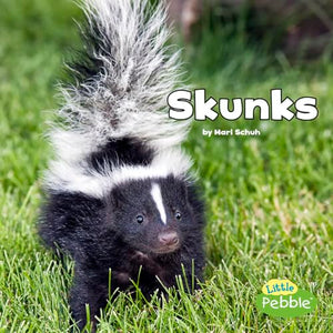 Black and White Animals Skunks