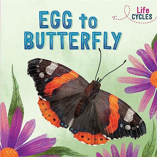 Life Cycles: Egg to Butterfly