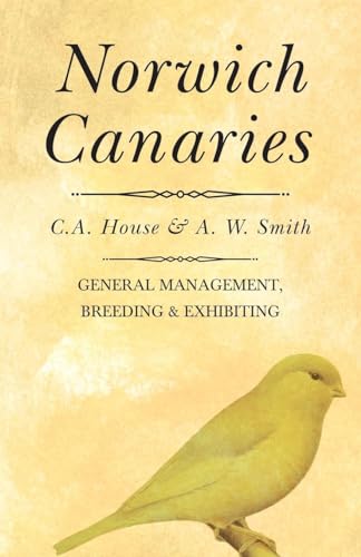 Norwich Canaries
