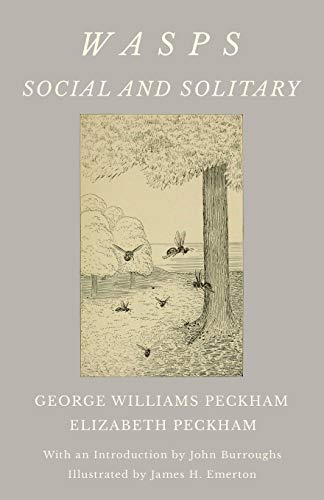 Wasps - Social and Solitary;With an Introduction by John Burroughs - I cover