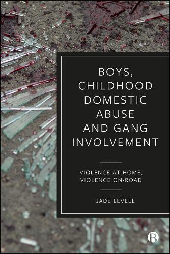 Boys, Childhood Domestic Abuse and Gang Involvement cover