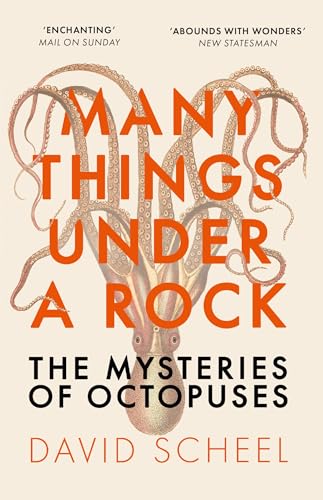 Many Things Under a Rock