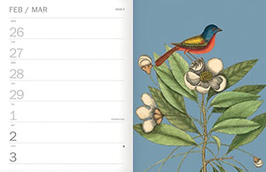 2024 Royal Botanic Garden Kew Deluxe Diary