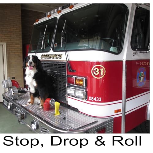 Stop, Drop & Roll cover