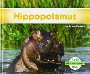 Hippopotamus