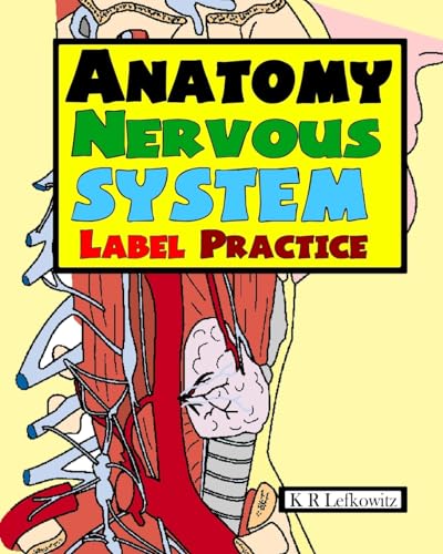 Anatomy Nervous System Label Practice