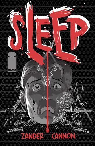 Sleep cover art