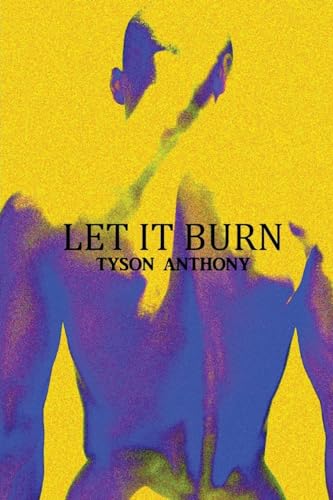 Let It Burn cover