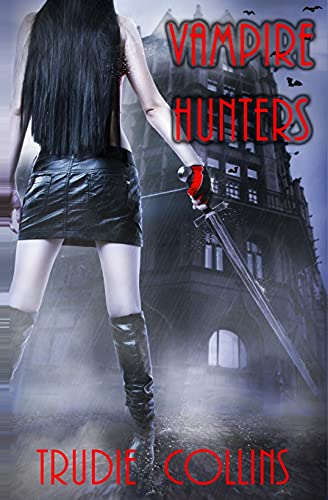 Vampire Hunters cover