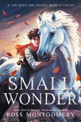 Small Wonder cover
