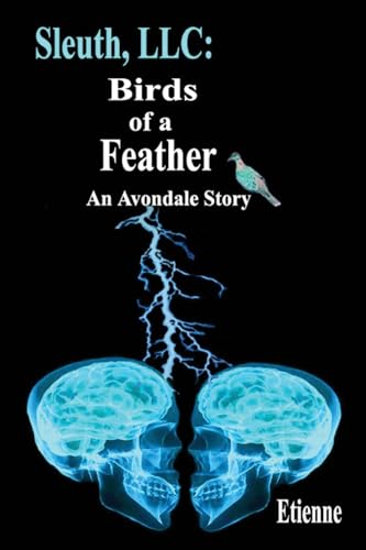 Sleuth, LLC cover