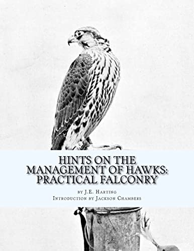 Hints on the Management of Hawks