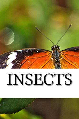 Insects