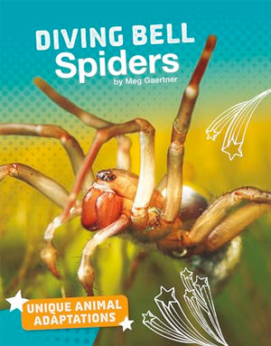 Diving Bell Spiders