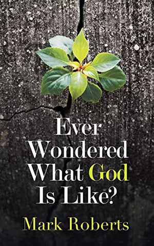 Ever Wondered What God Is Like?