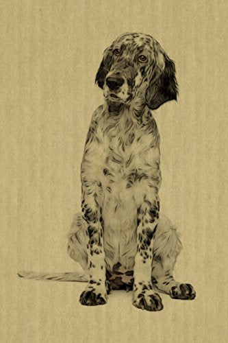 English Setter cover