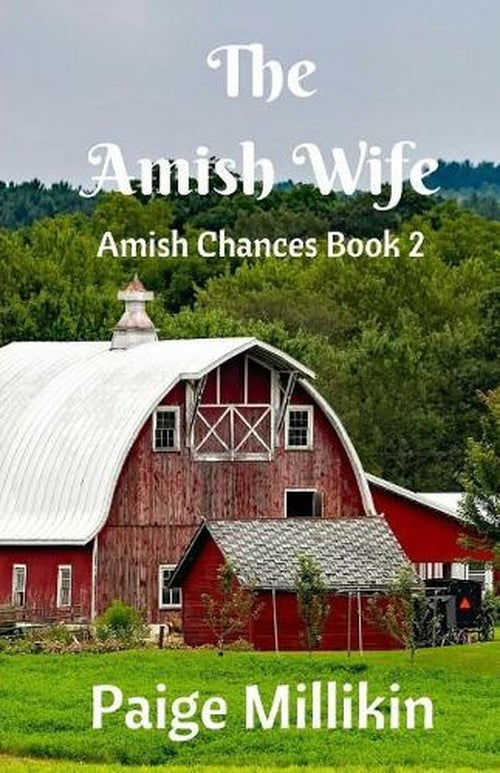 The Amish Wife cover