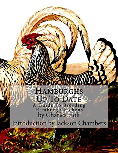 Hamburghs Up to Date cover