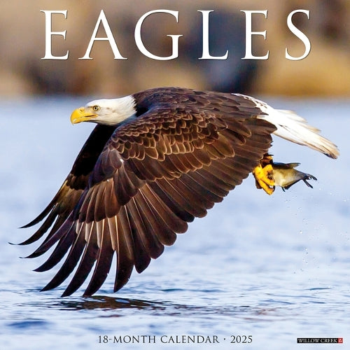 Eagles 2026 Wall Calendar