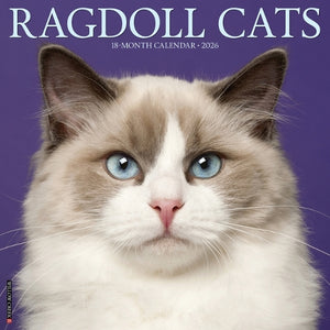 Ragdoll Cats 2026 Wall Calendar 
