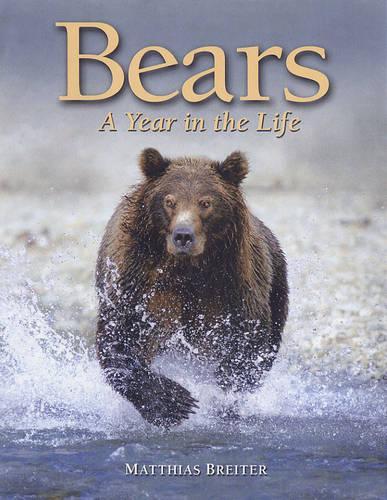 Bears