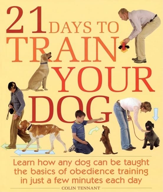 21 Days to Train Your Dog