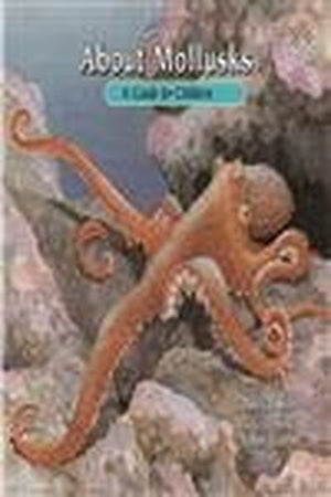About Mollusks