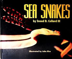 Sea Snakes 