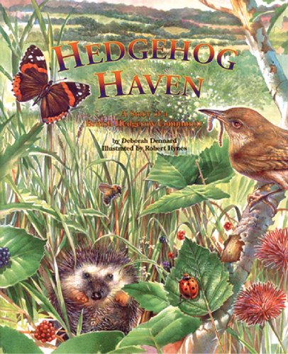 Hedgehog Haven