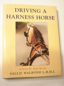 Driving a Harness Horse: A Step-By-Step Guide 
