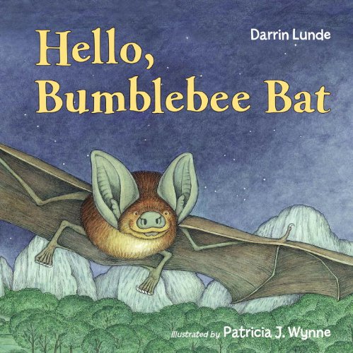 Helloe Bumblee Bat