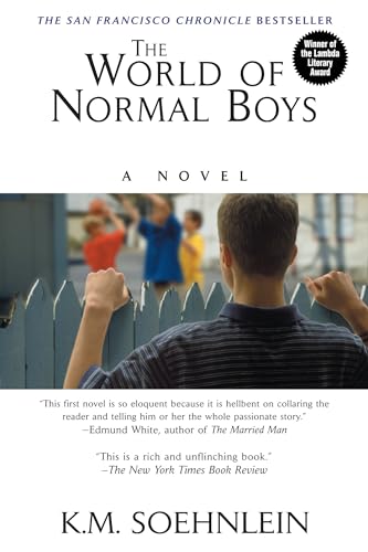 The World Of Normal Boys
