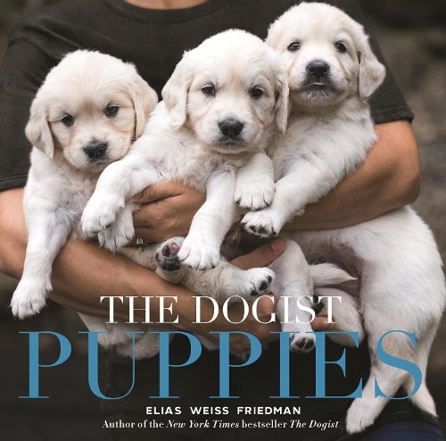 The Dogist Puppies