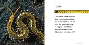 Centipedes