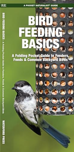 Bird Feeding Basics