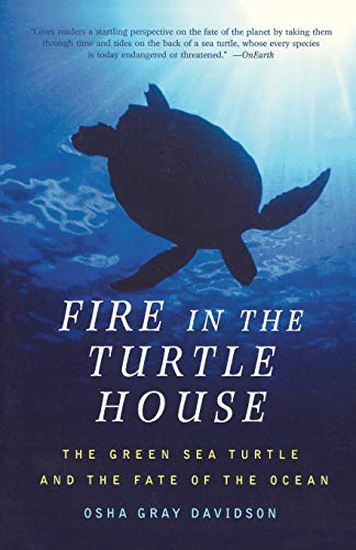 Fire In The Turtle House