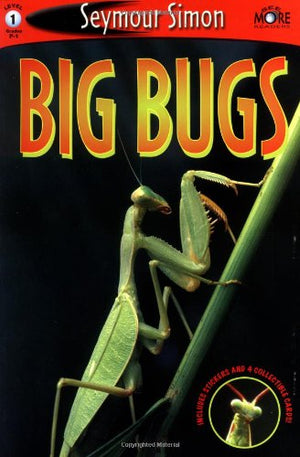 Big Bugs