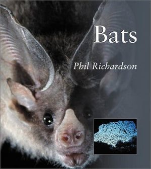 Bats