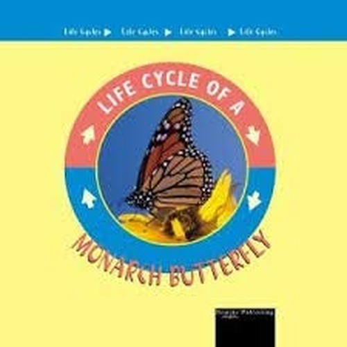 Monarch Butterfly