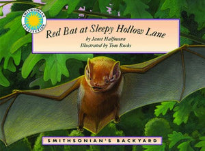 Red Bat at Sleepy Hollow Lane