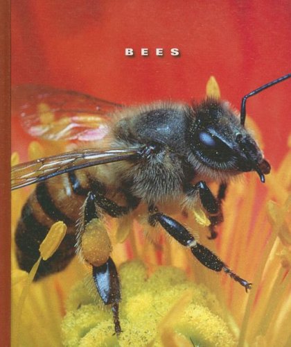 Bees