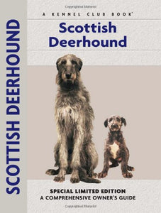 Scottish Deerhound 
