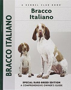 Bracco Italiano 