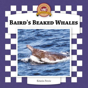 Baird's Beaked Whales