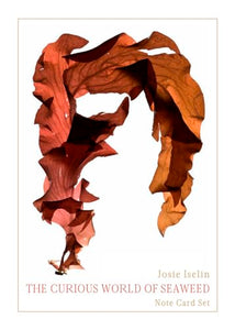 The Curious World of Seaweed Note Card Box 